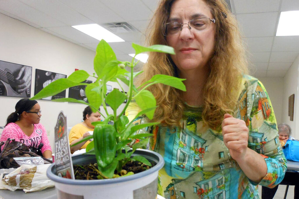 Picture of a client tending to a potted plant
