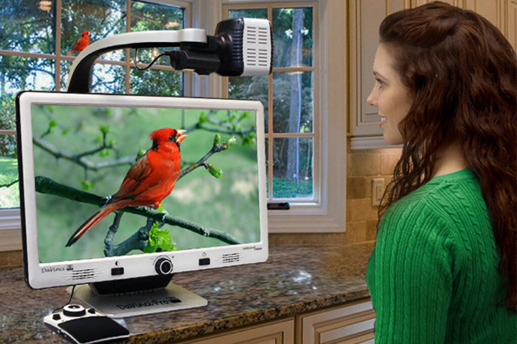Photo of a woman looking at a bird through a digital magnifier